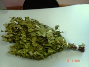 Веники березовые оптом