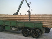 Опоры ЛЭП (лиственница);  Энерголес