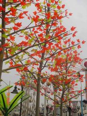 Уличный светильник Клен