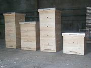 Энгельсский Улей