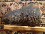 Продам зуб мамонтенка в отличном состоянии!