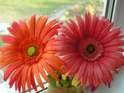 украшаем интерьер,  эксклюзивный подарок