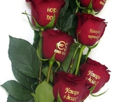 Говорящие цветы! Бизнес предложение