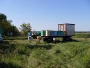 продажа меда