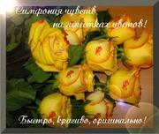 наклейки для цветов