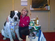 Продаются щенки Алабая с отличной родословной