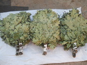 Веники дубовые и берёзовые