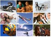 Что подарить?