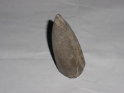 предлагаю белемниты