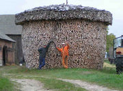 Дрова Березовые колотые с доставкой.