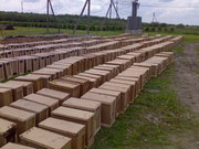 Продам пчелопакеты