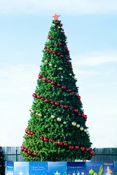 Искусственные елки в Тюмени купить. Большие елки.