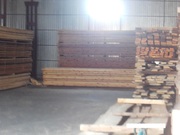 Бук, Ясень, Дуб