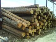 ЛЕС КРУГЛЫЙ. В наличии и под заказ, Тел:.766-477 г.Калининград.