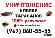 Уничтожение тараканов, блох, клопов недорого Москва