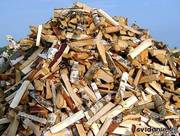 ДРОВА БЕРЕЗОВЫЕ