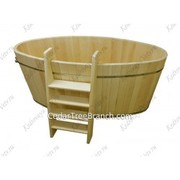 Овальная шестиместная купель