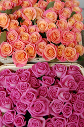 Майские выходные из роз