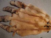 Продам мех лисы