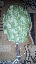 Банные веники с Родины