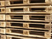 Покупаем европоддоны Новосибирск - Продаем европоддоны Новосибирск