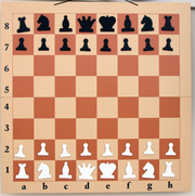 Шахматные подарки на любой вкус