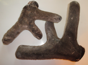 панты марала,  настойку