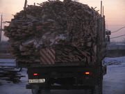 Дрова, горбыль, срезка.Отходы на дрова