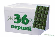 Бесплатно доставим сок ростков пшеницы. Эффект через 3 недели