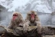 Туры на горячие источники из Перми