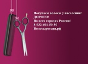 Покупаем волосы  в Перми! Дорого!